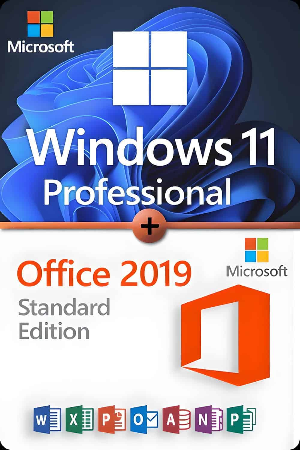 Microsoft Windows 11 Professional + Microsoft Office 2019 Standard Lizenz für 3 Geräte